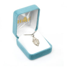 Load image into Gallery viewer, Blessed Mother Mary with rays coming out of her extended hands, crushing a serpent under her feet.