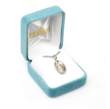 Load image into Gallery viewer, Blessed Mother Mary with rays coming out of her extended hands, crushing a serpent under her feet.