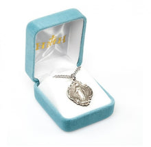 Load image into Gallery viewer, Blessed Mother Mary with rays coming out of her extended hands, crushing a serpent under her feet.