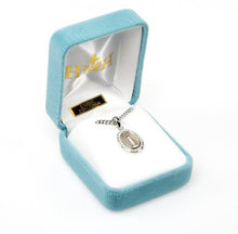 Load image into Gallery viewer, Blessed Mother Mary with rays coming out of her extended hands, crushing a serpent under her feet.