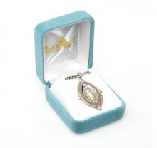 Load image into Gallery viewer, Blessed Mother Mary with rays coming out of her extended hands, crushing a serpent under her feet.