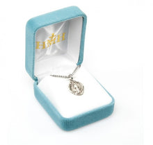 Load image into Gallery viewer, Blessed Mother Mary with rays coming out of her extended hands, crushing a serpent under her feet.