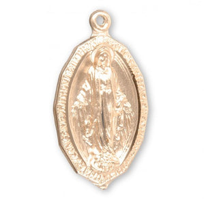 Blessed Mother Mary with rays coming out of her extended hands, crushing a serpent under her feet.